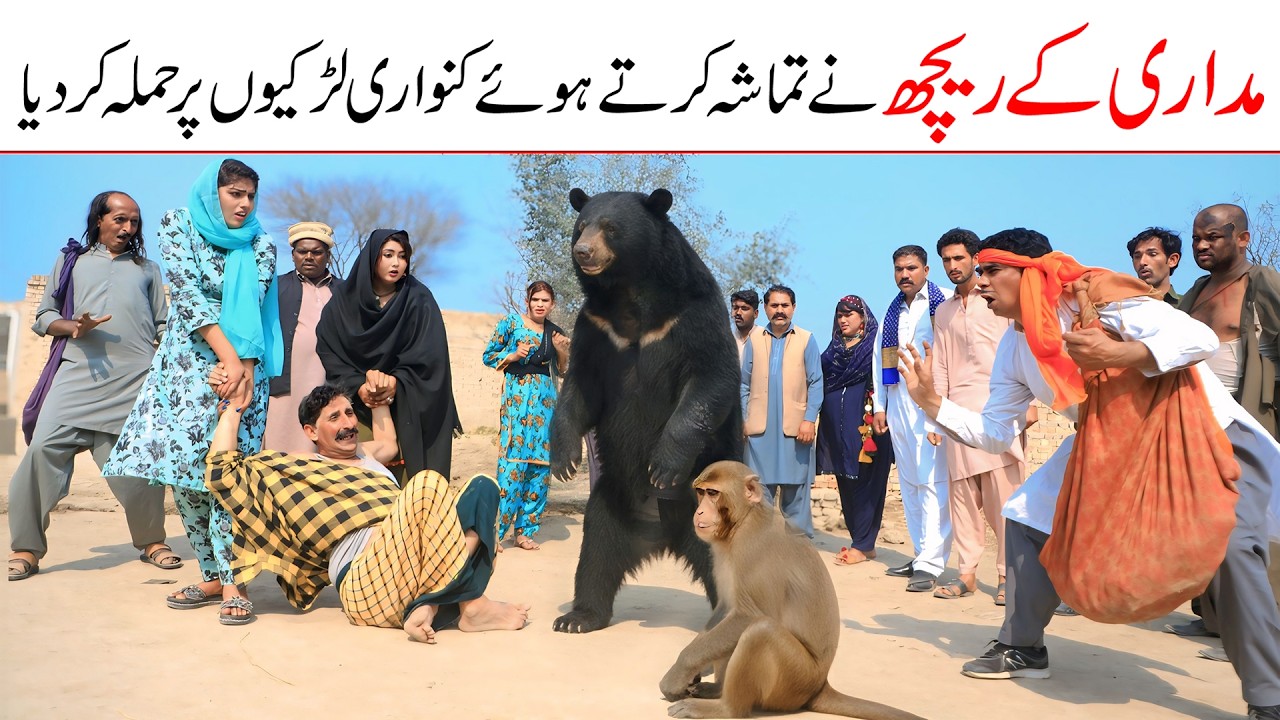Madari | Ramzi,Noori, Bilo,Shoki, Sanam, Falak Sher,Funny Video  Rachnavi Tv