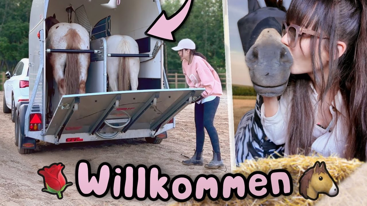 Der große Tag: Unsere Pferde ziehen auf den Rosenhof 🥹