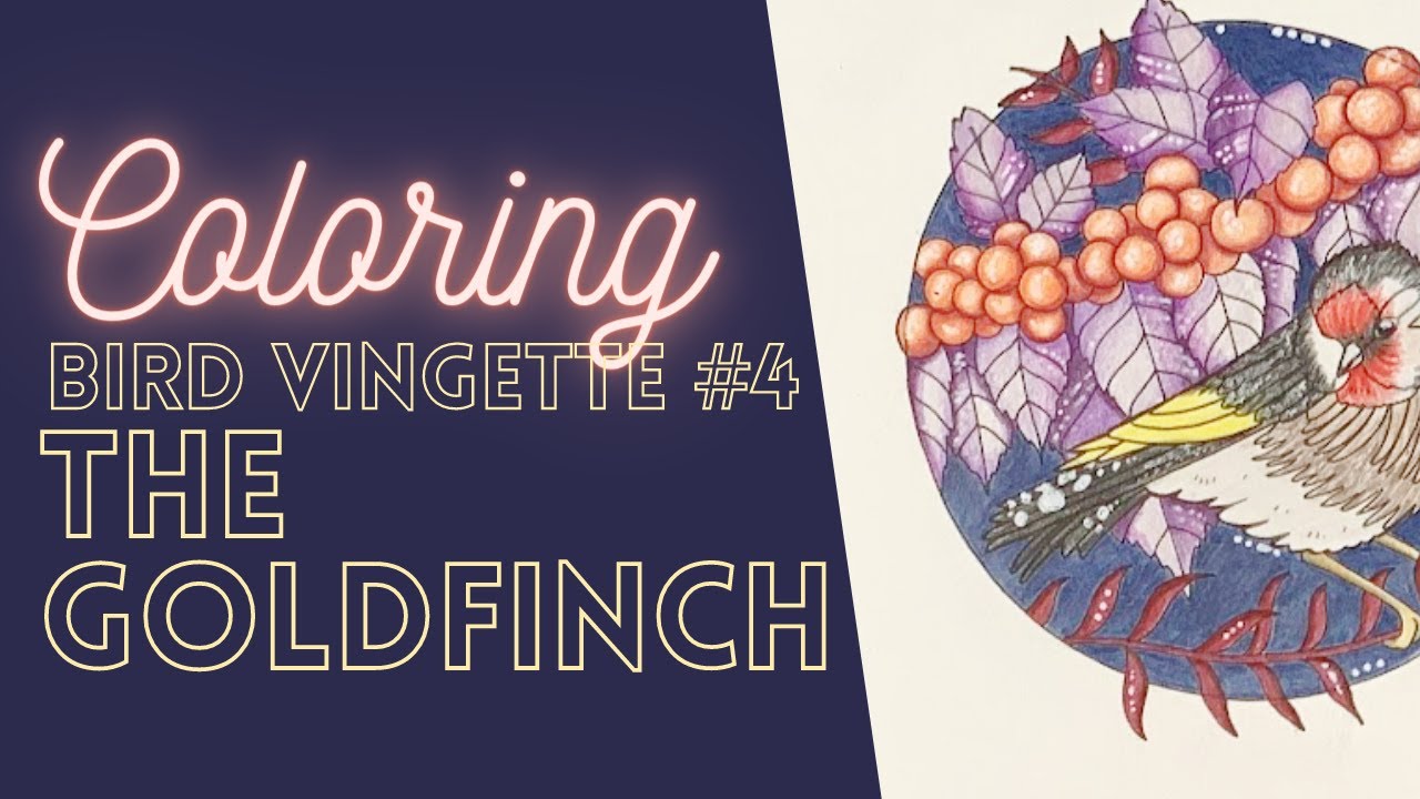 the GOLDFINCH - Coloring 4 small vignettes of birds from Johanna Basford's Worlds of Wonder
