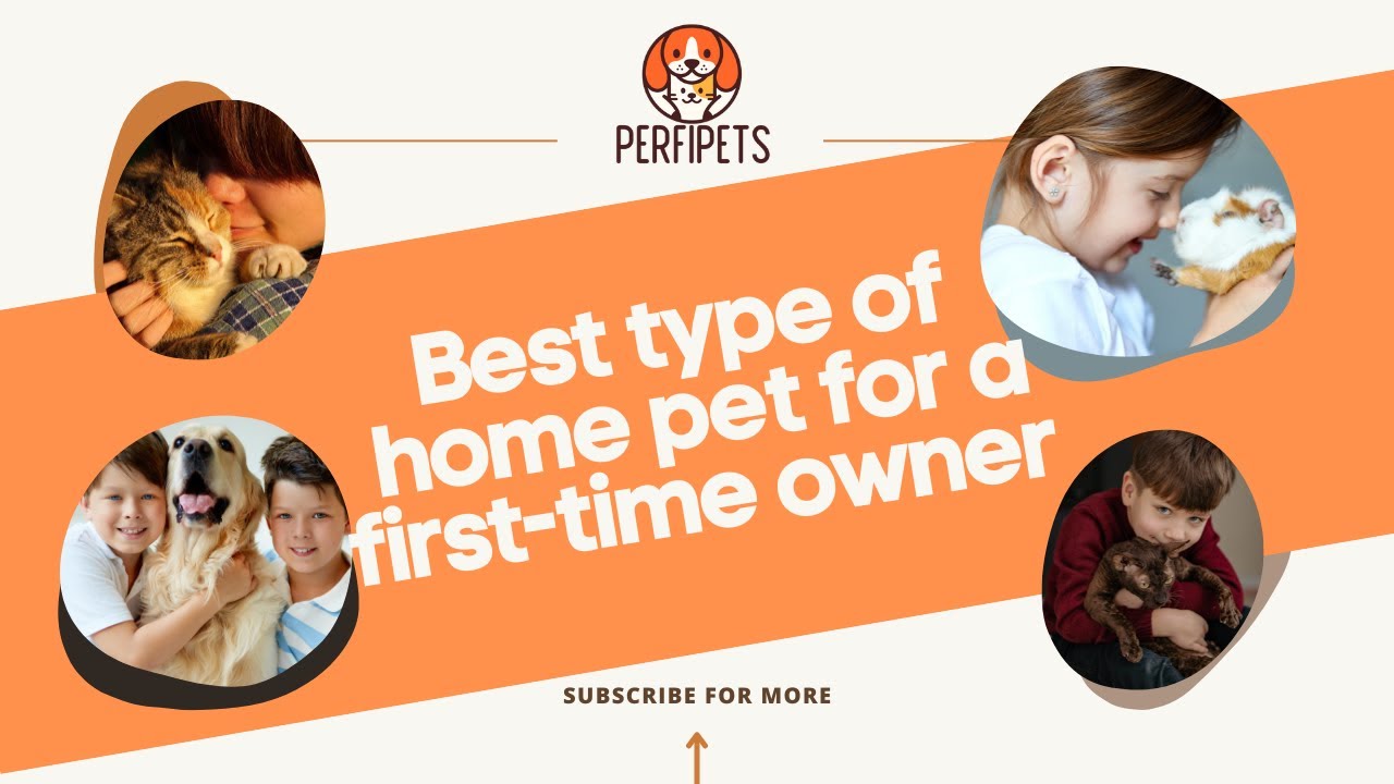 Best type of home pet for a first-time owner