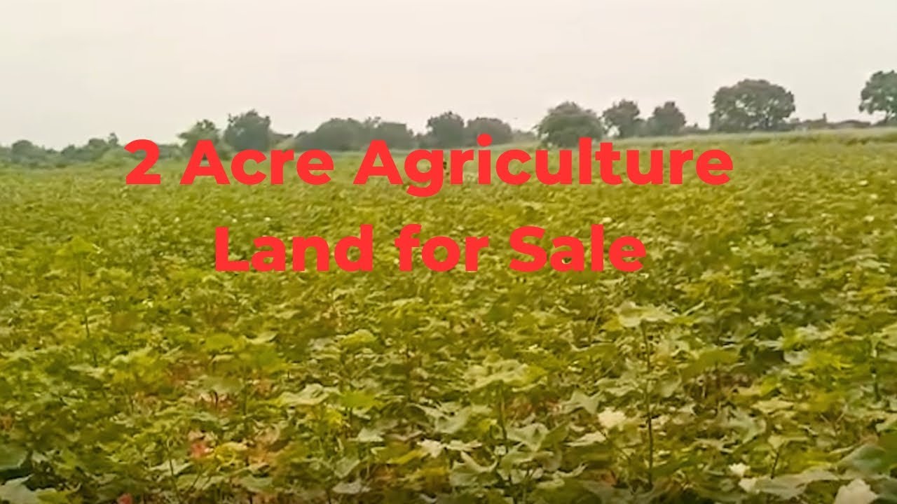 2 Acre Agriculture Land for Sale at Bachannapet | Great Investment Opportunity!