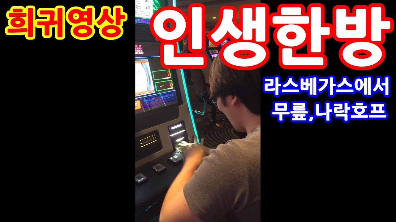 [도박,야방] 희귀영상. 무릎,나락호프 인생한방 노리다 ㅋㅋㅋㅋ
