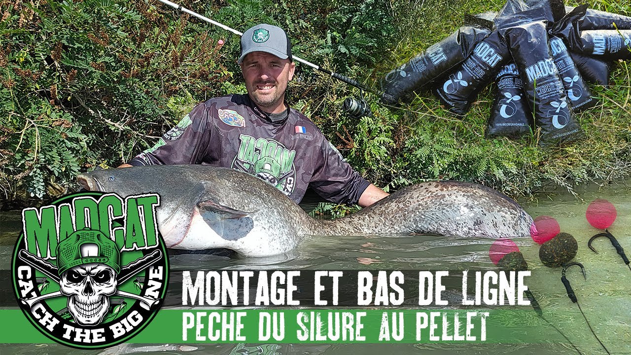 Montage et bas de ligne pour la pêche du silure au pellet avec les sacs biodégradables Weight Bags