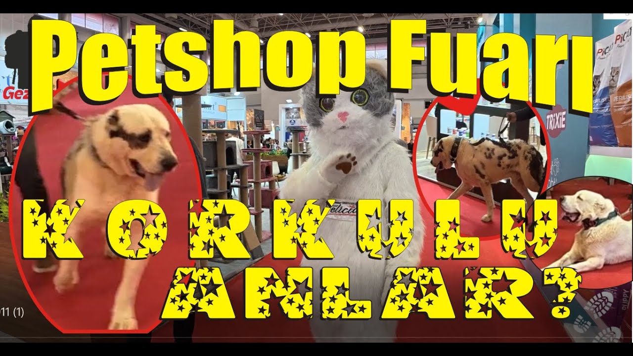ASLAN GİBİ KÖPEKLER KORİDORLARI SALLADI! 🐾 | İstanbul Petzoo Eurasia Fuarı Ziyareti #patilidostlar