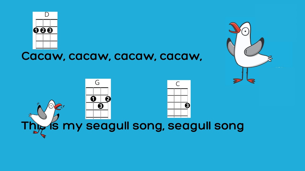 LEARN TO PLAY: Seagull Song - Music with Michal