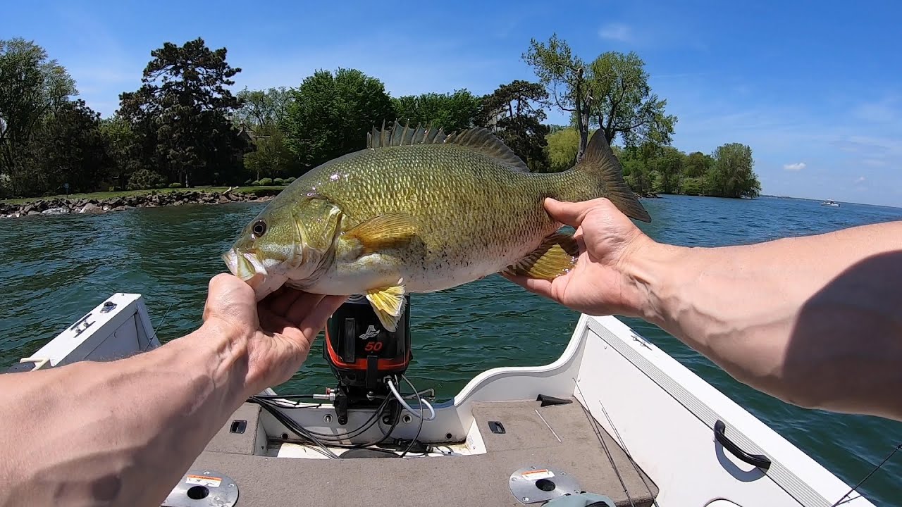 Lake St. Clair Memorial Day Smallmouth 2020
