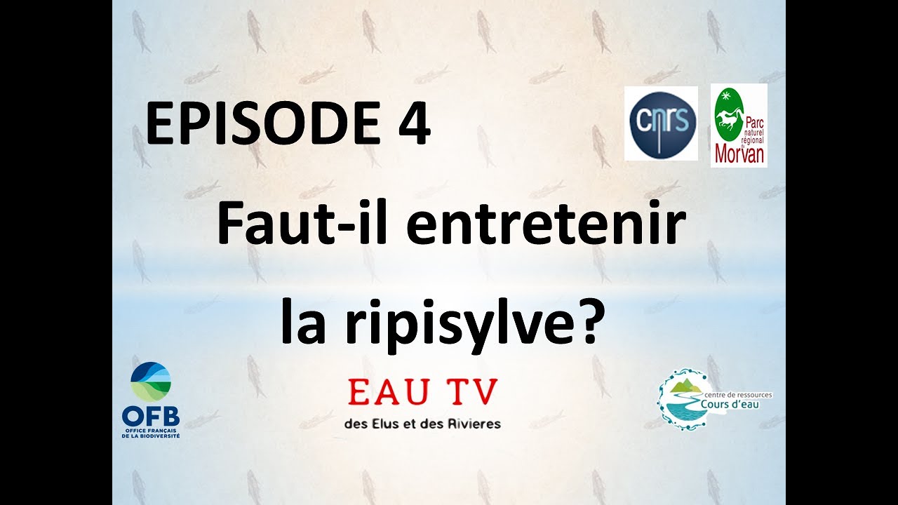 Episode 4 : Faut-il entretenir la ripisylve??