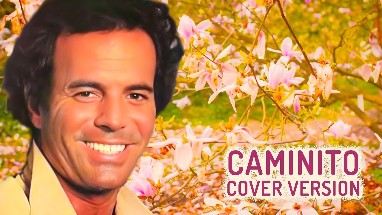 Caminito (Julio Iglesias) - Instrumental cover version