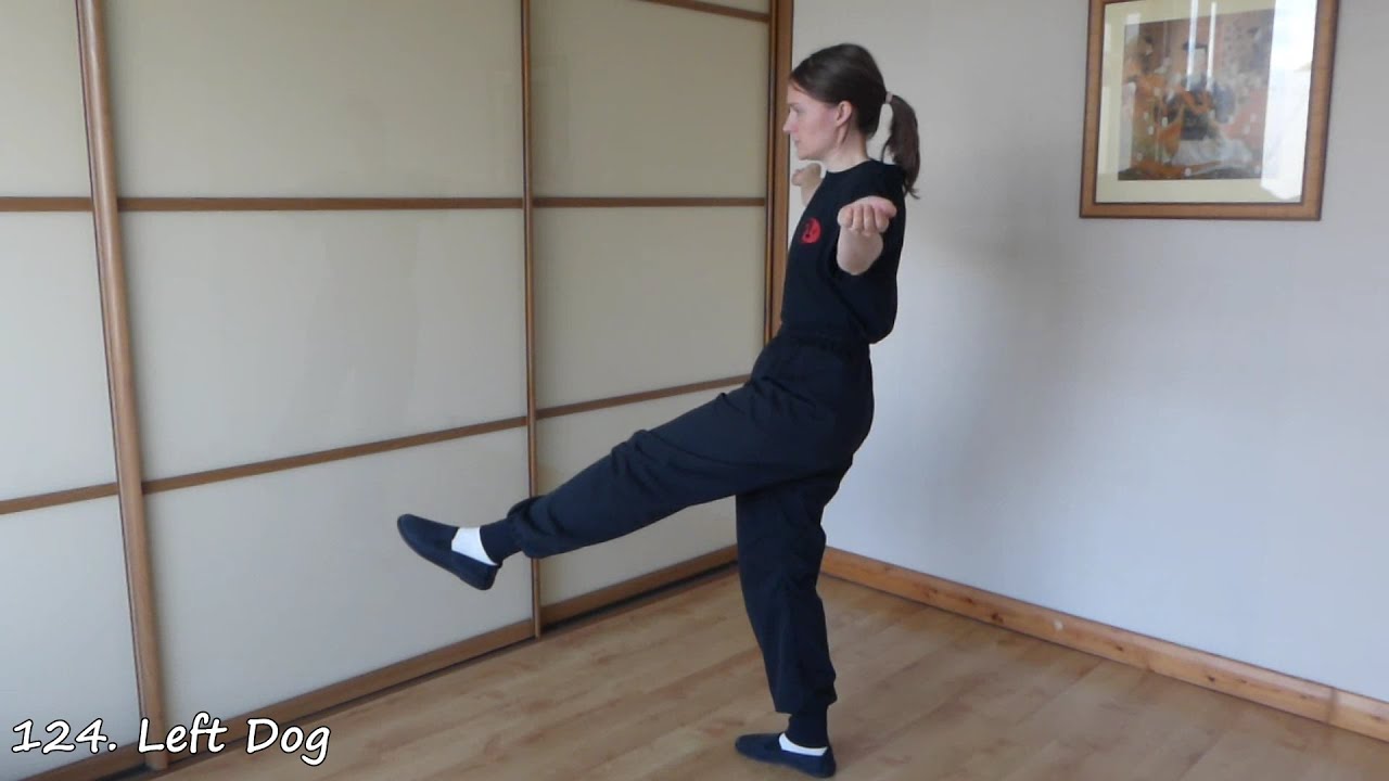 Li Style Tai Chi Form moves 123-126: The Chickens Become Excited