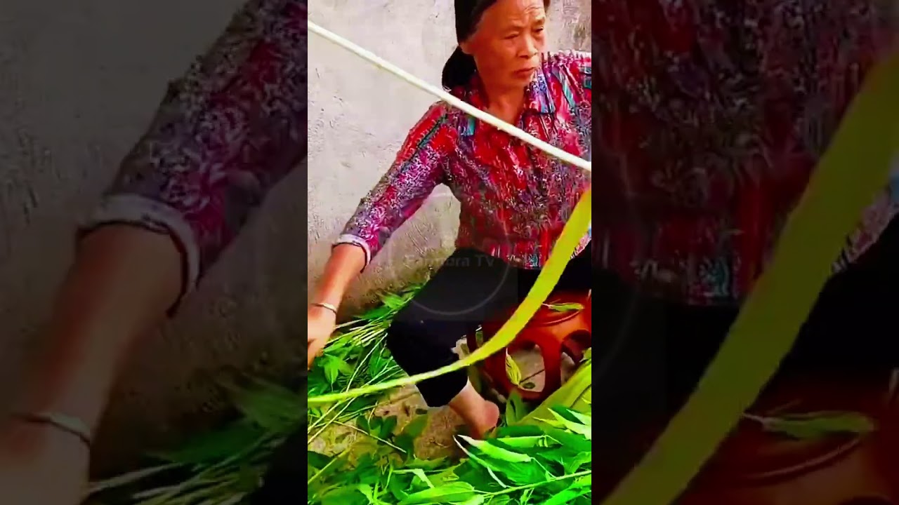 Harvesting Sustainable Fibers! 🌿🔪 #farmoratv #nature #asmr