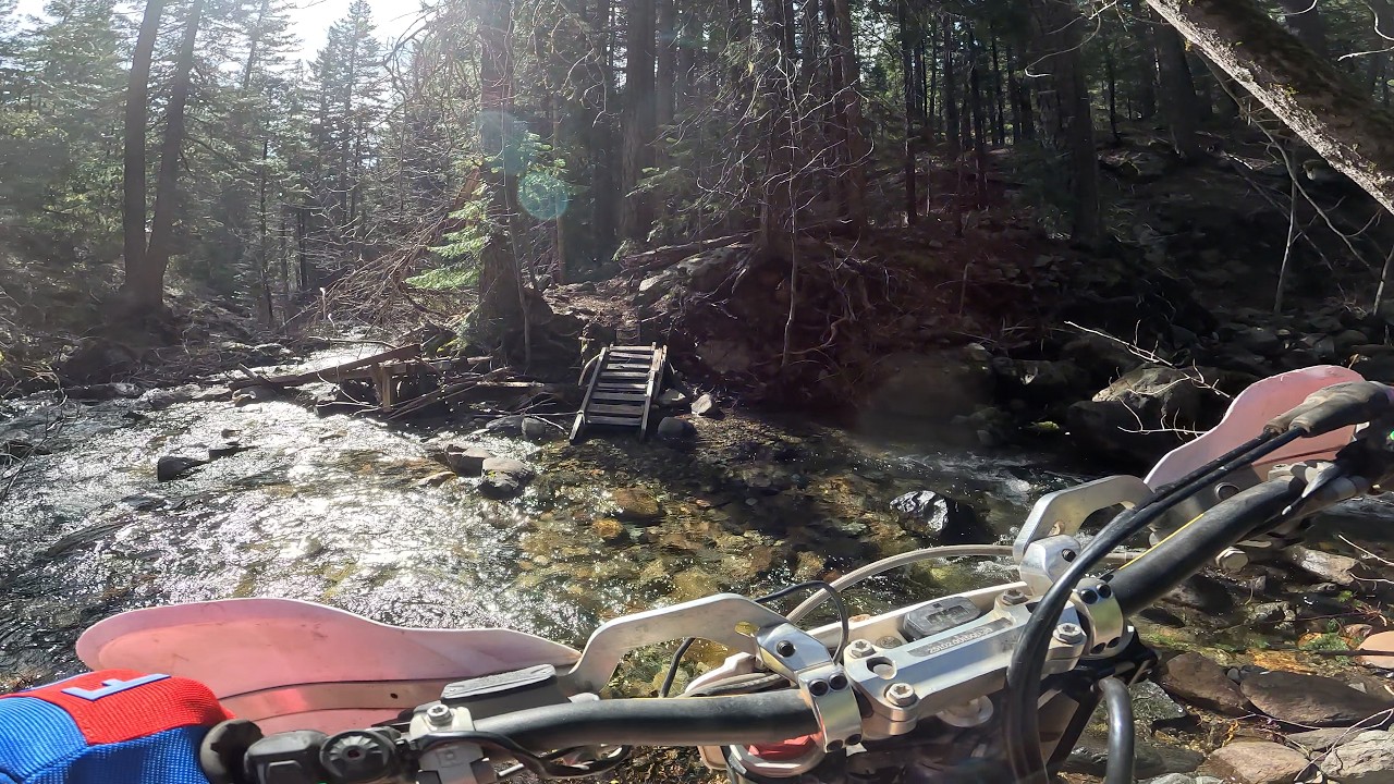 The Lemurians got it good.