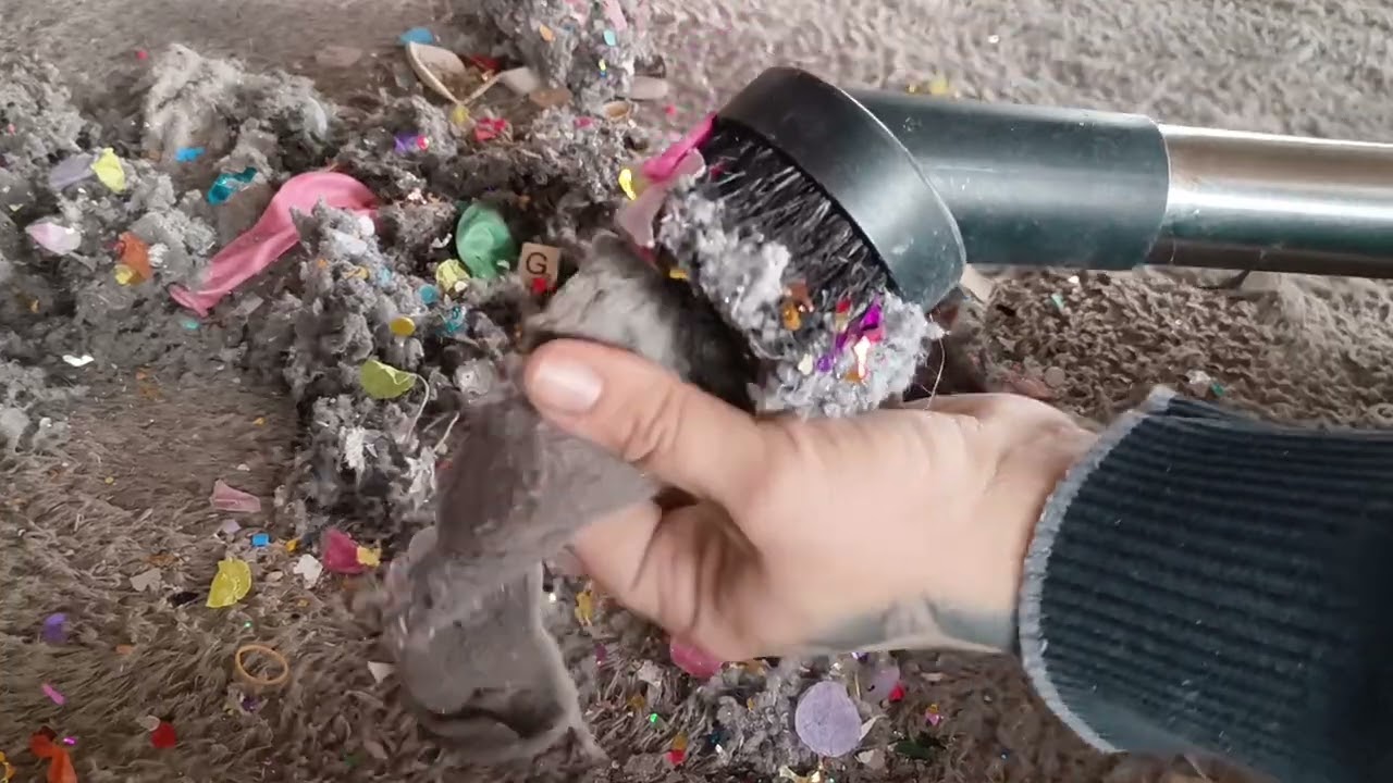 James and Vaxy Cleanup