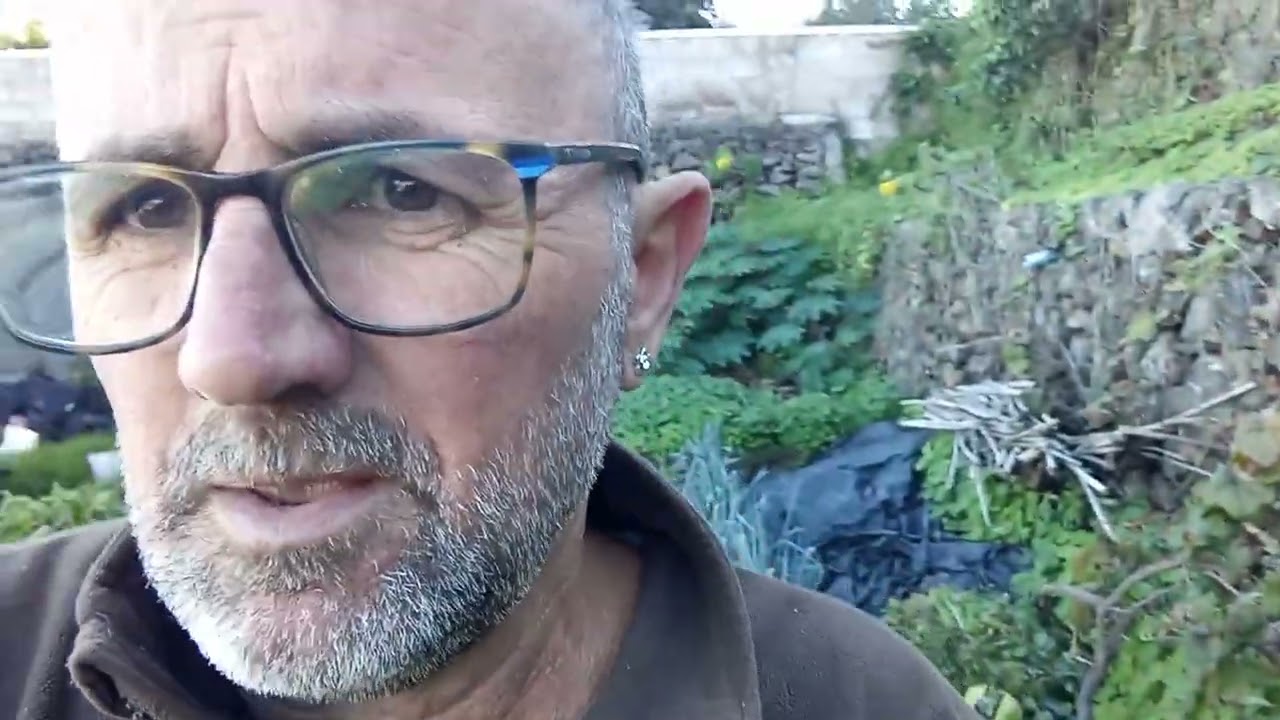 Hoy volvemos con los garbanzos!!