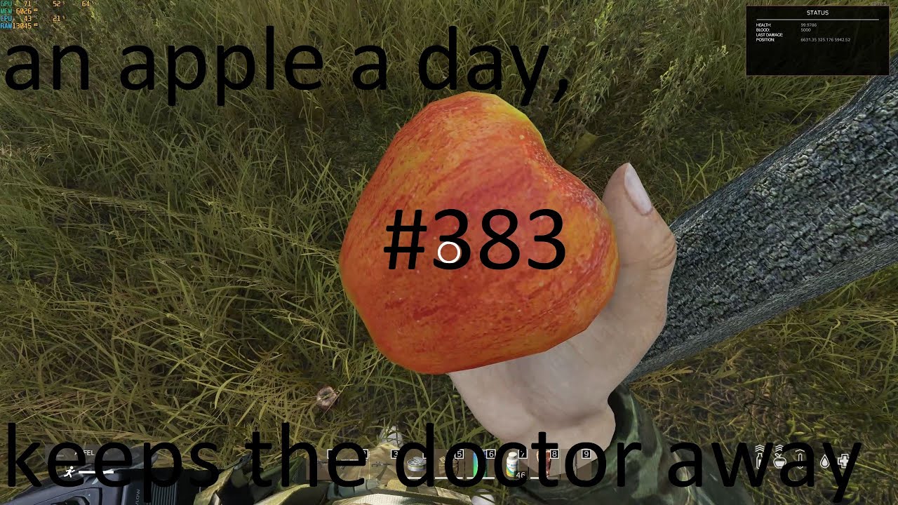 DayZ Let's play #383 (Deutsch) &Auml;pfel und Pilze [QHD]