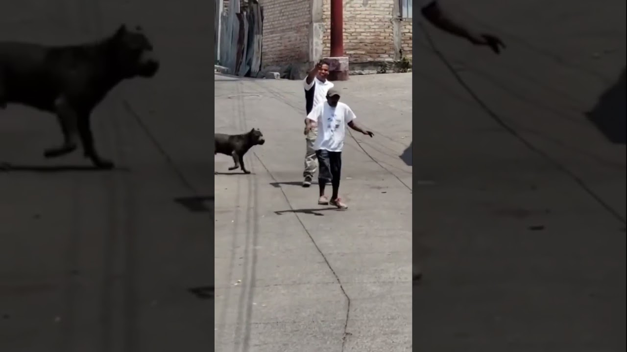 Drunk Thriller re-upload #comedy #drunk #funny #thriller