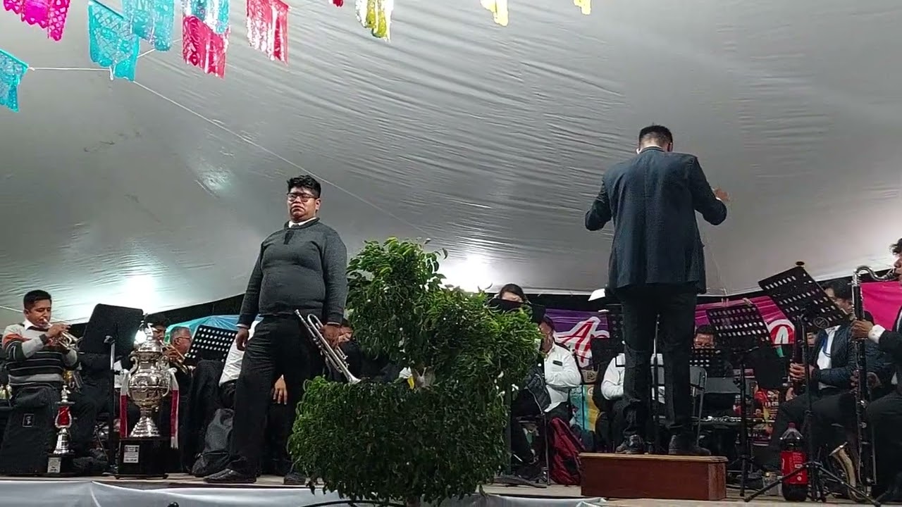 Las golondrinas, Variaciones para Trompeta 🎺