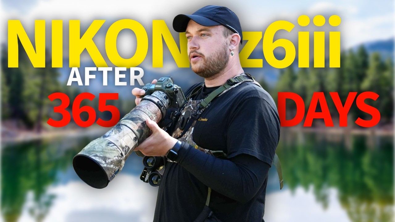 The Nikon Z6iii for Bird Photography – 1 Year Review