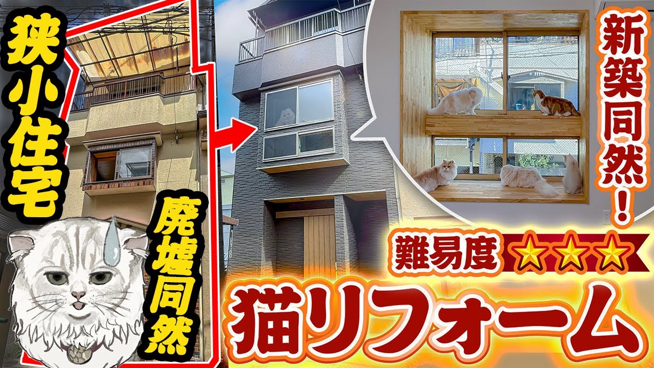 【狭小住宅ルームツアー】廃墟同然の中古物件を劇的リフォーム！テレビで紹介された噂の猫ハウスに潜入