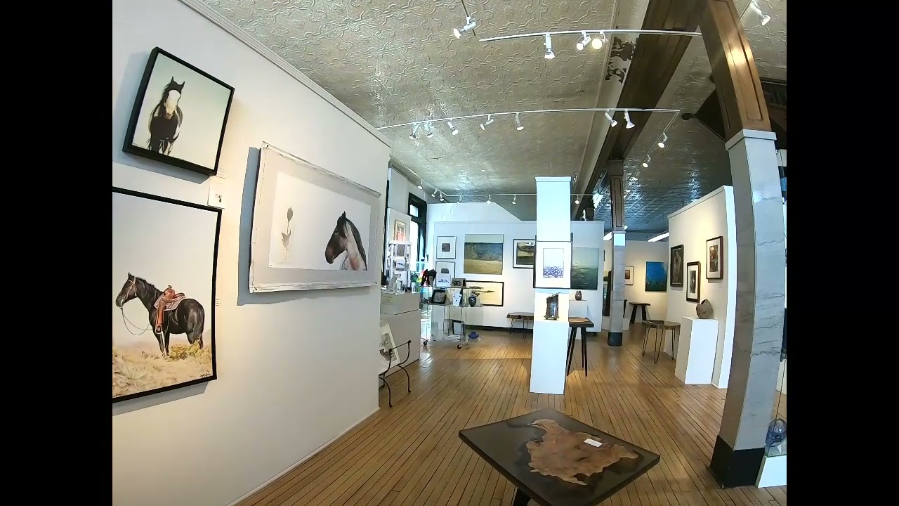 Dakota Fine Art, Fargo, ND Walk Through