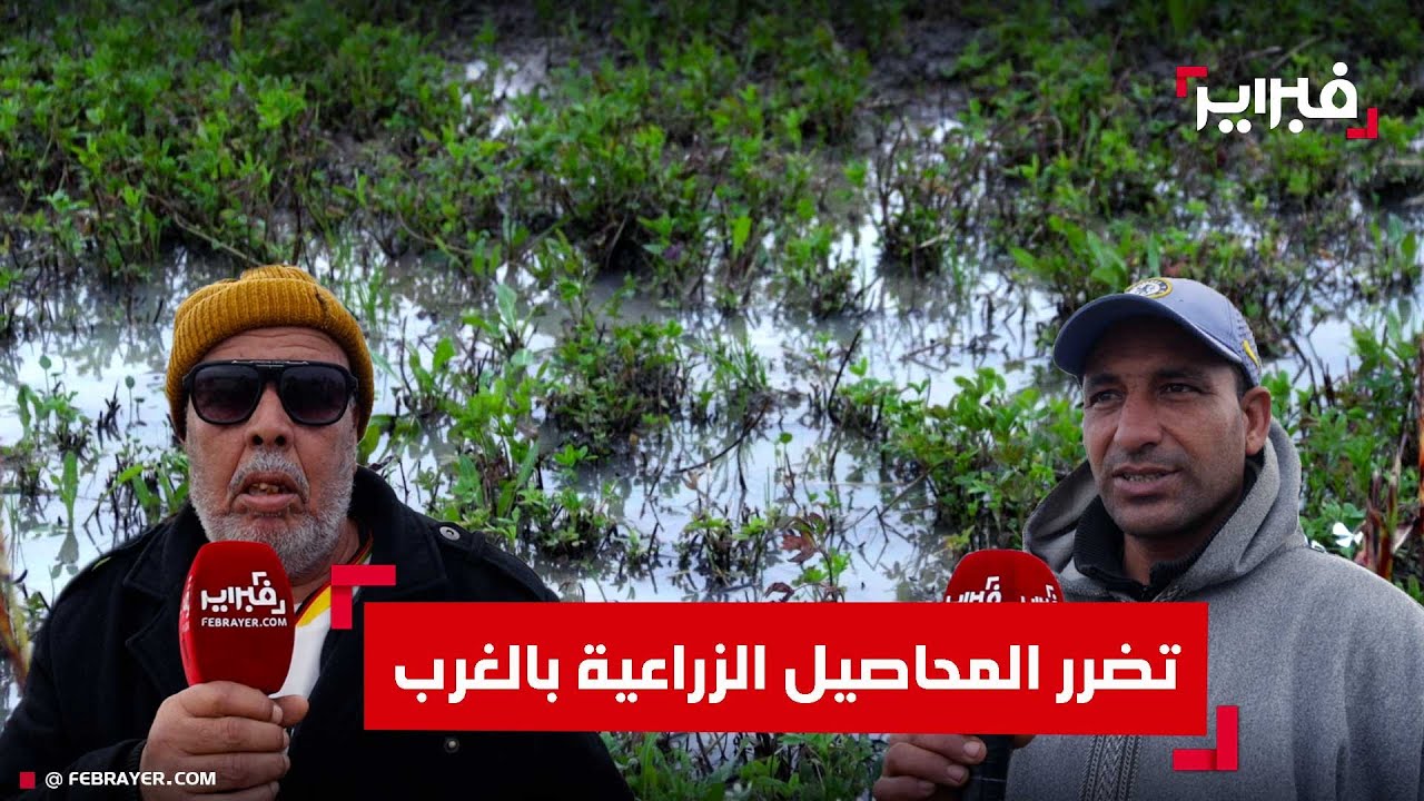 فيضانات الغرب تربك الفلاحة نواحي القنيطرة وتثقل كاهل الكسابة