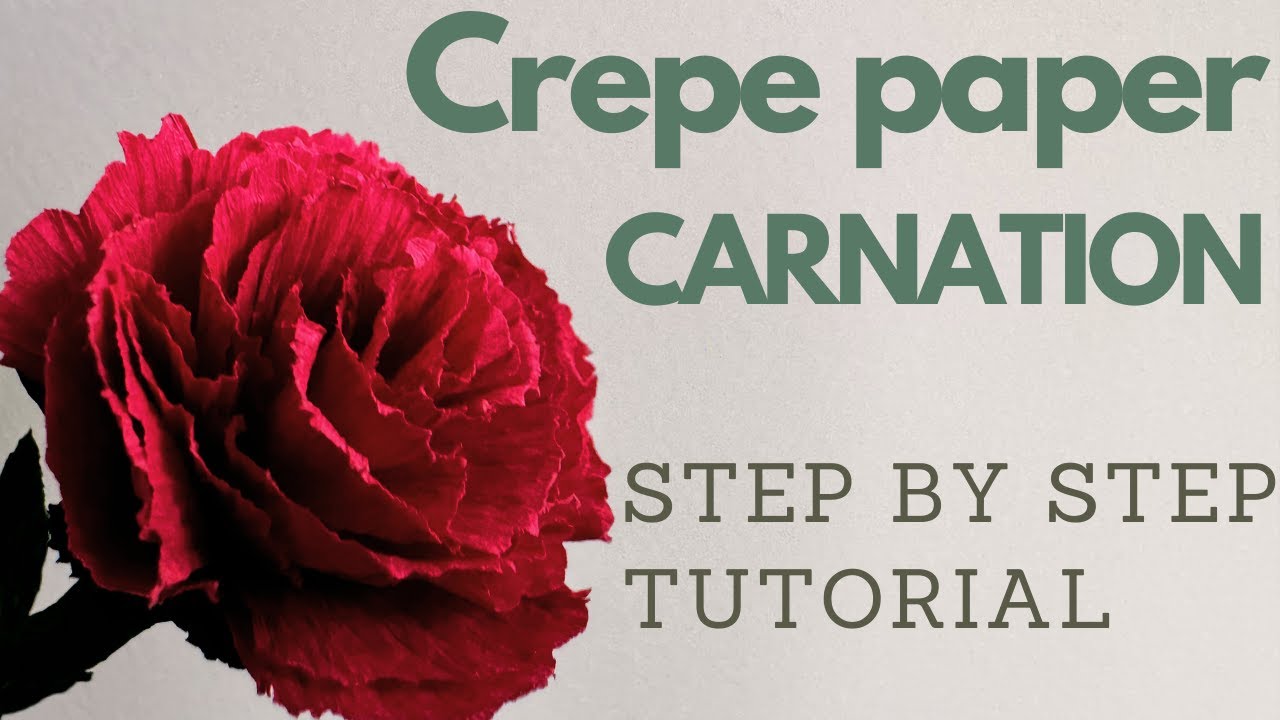 How To Make Carnation Crepe Paper Flower | Step By Step Tutorial