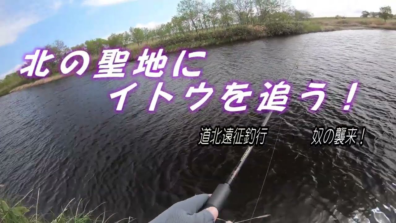 北の聖地にイトウを追う