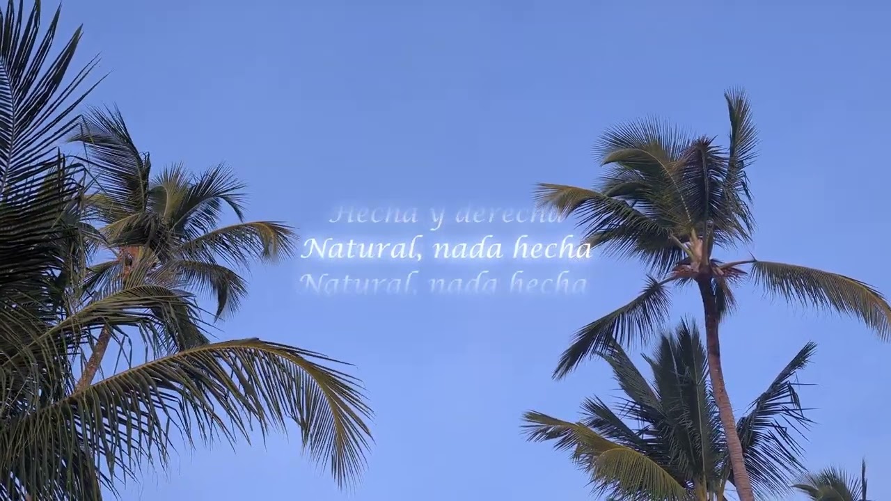 Luqui - Natural (Lyric Visualizer)