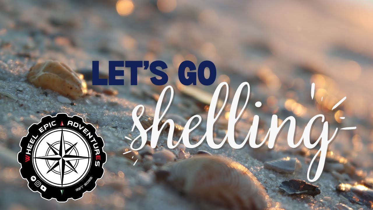 Huntin' Shells | Gulf Shores, AL