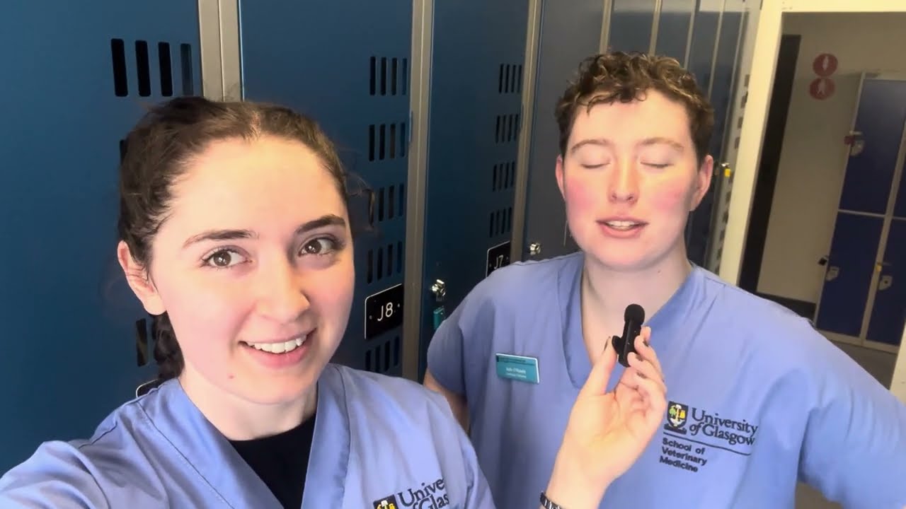 Week in the Life of a Third Year BVMS Student