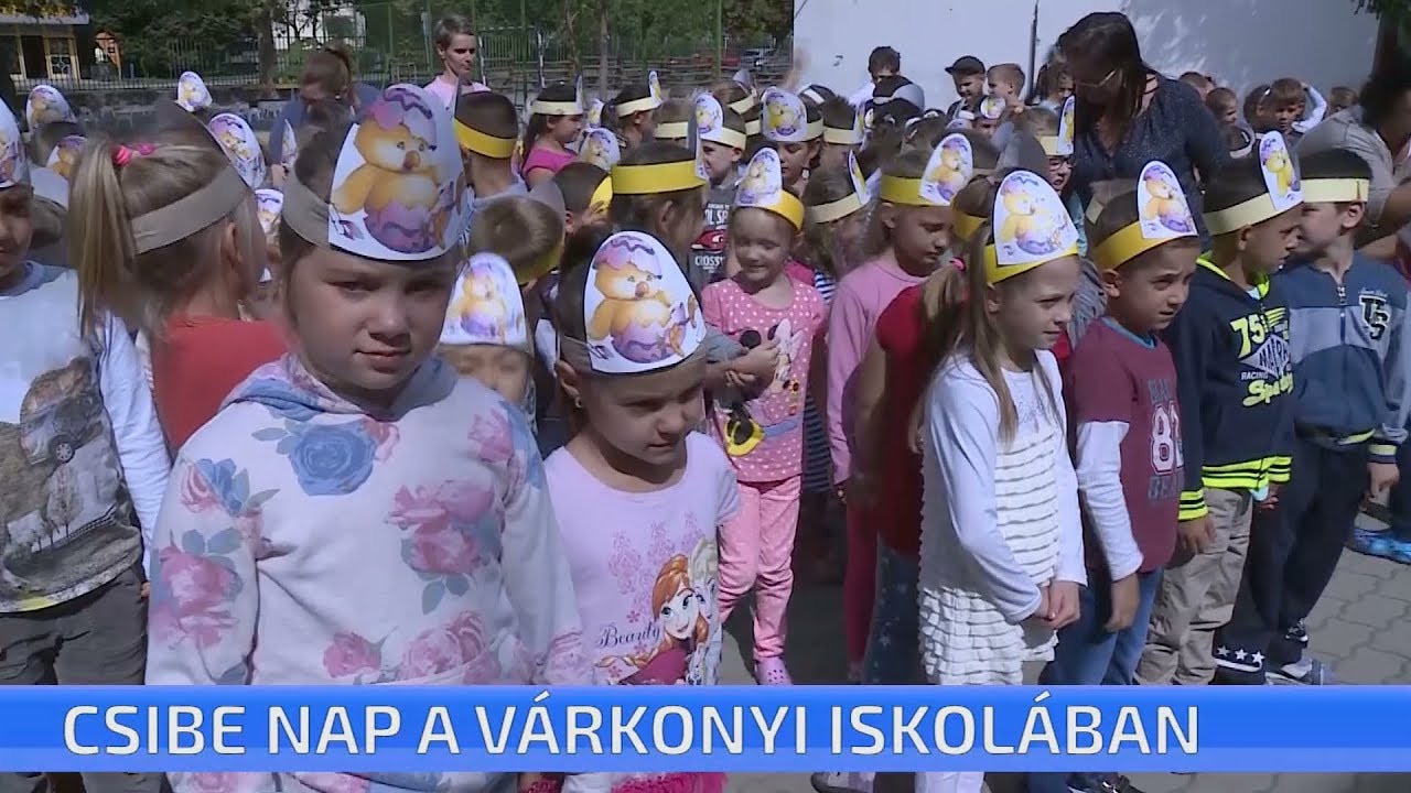 Csibe nap a Várkonyi Iskolában