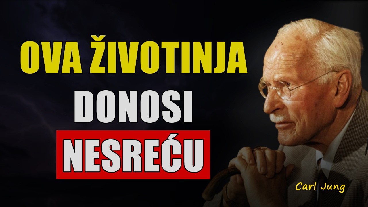 Nikada ne diraj ovu životinju – donosi NESREĆU u kuću - Carl Jung | Mudrost i Psihologija