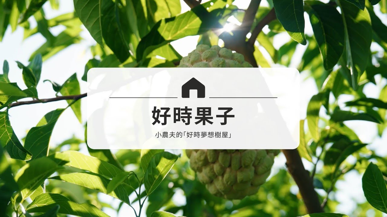 【第1屆小店永豐計畫獲選】好時果子 小農夫的夢想樹屋
