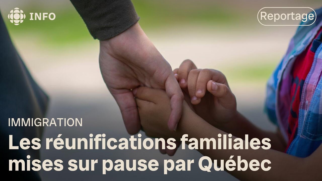 Réunifications familiales suspendues au Québec : entrevue avec un avocat | D'abord l'info