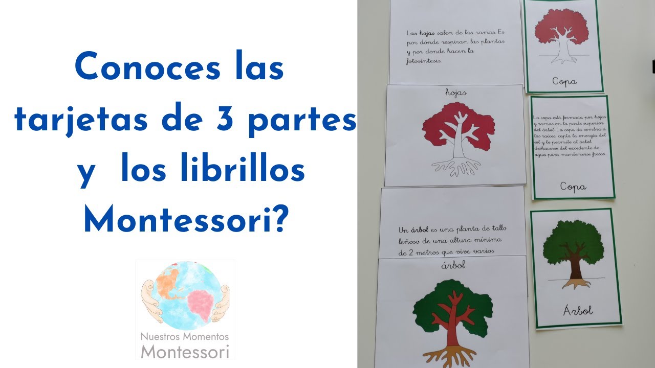Conoces las tarjetas de 3 partes y los librillos Montessori?