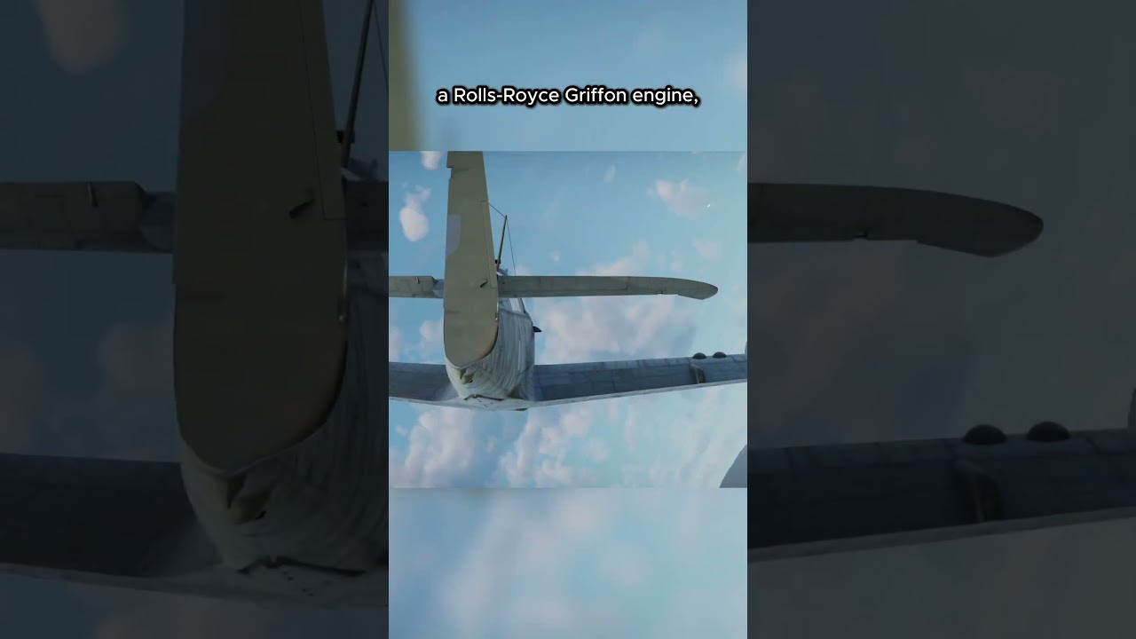 Британская военно-морская авиация: Fairey Firefly