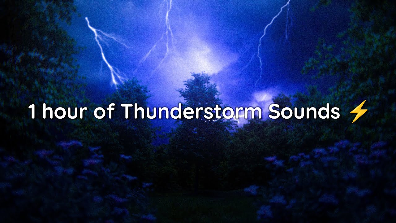 1 Hour of Thunderstorm Sounds in a Dark Forest 🌩️ | Relax, Sleep & Focus | ASMR