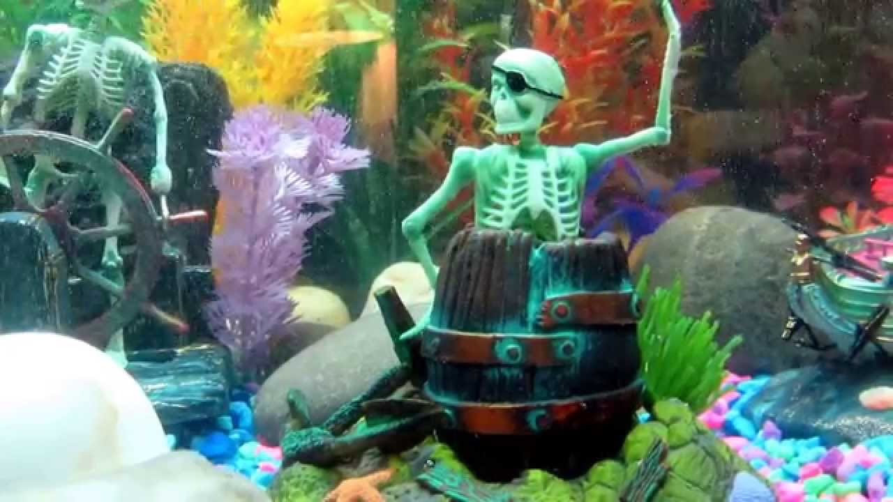Freshwater Fish tank with Several Penn Plax Action Air Toys