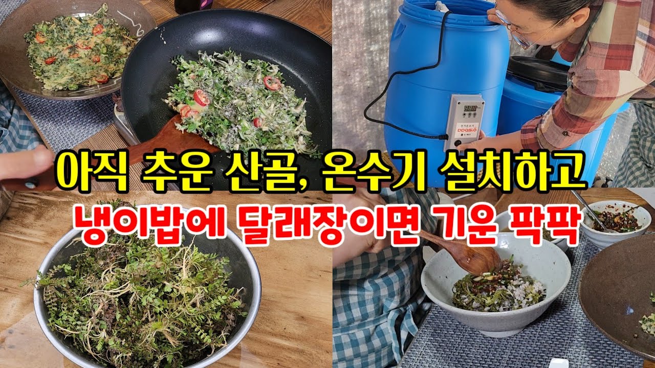 냉이전에 냉이된장국 해서  냉이밥에 달래장이면 호랑이 기운이 솟아나~ 추운 산골생활에 온수기 한대 들이고 @심심산방