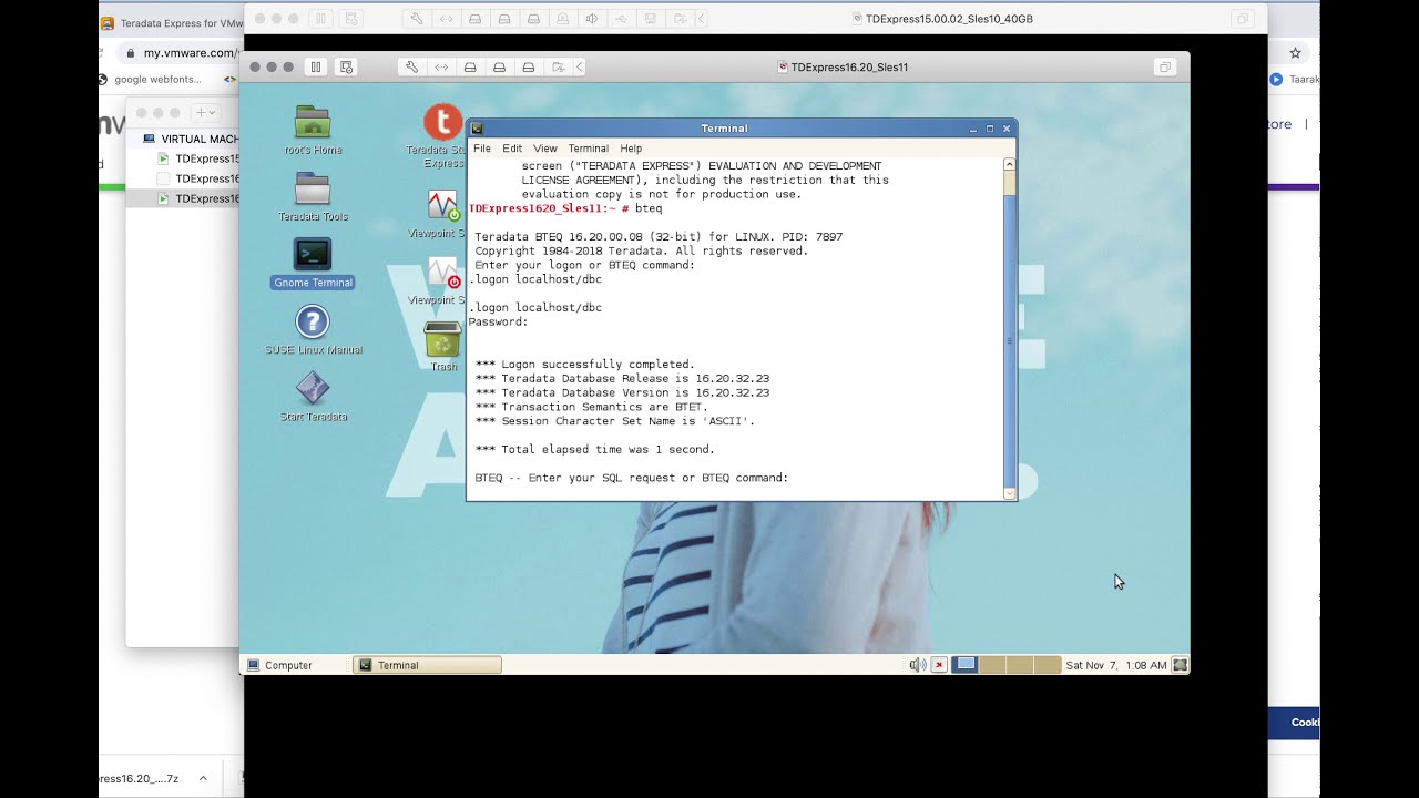 Start Teradata Database