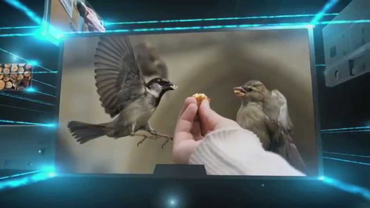 Meaning of A BIRD IN THE HAND IS WORTH TWO IN THE BUSH!