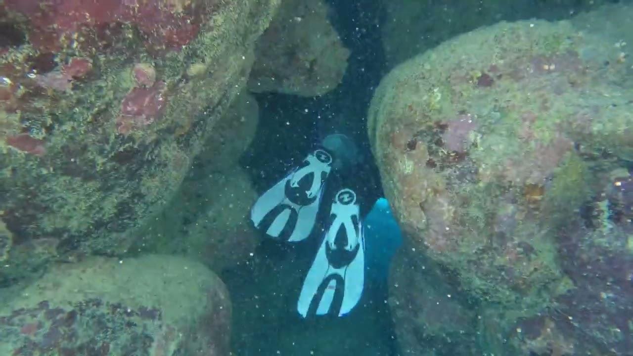 Diving Zerib Kebir, south and north 6/2/26