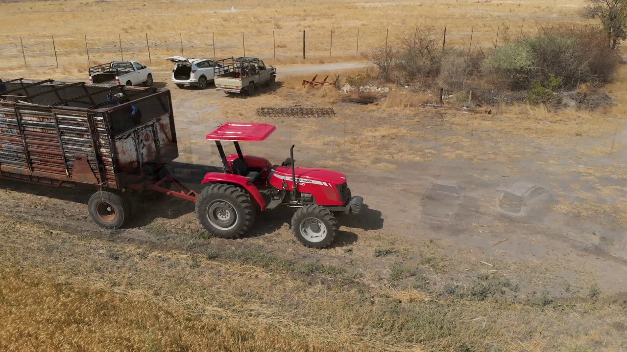 Weizen wird geerntet (Namibia 2018) Mähdrescher John Deere