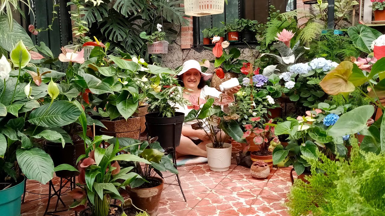 Oro Blanco, Secreto Revelado para Plantas