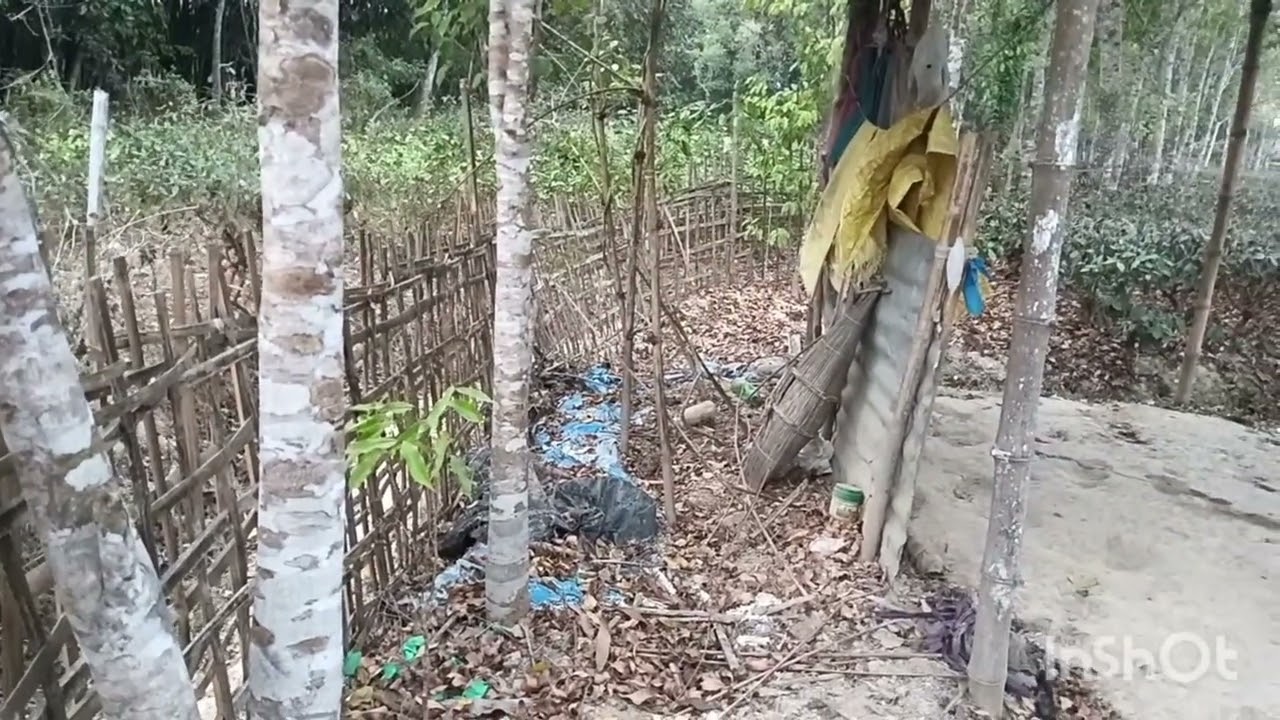 সাঁচি খেতি কৰি উপাৰ্জনৰ কৰক লাখ লাখ টকা।