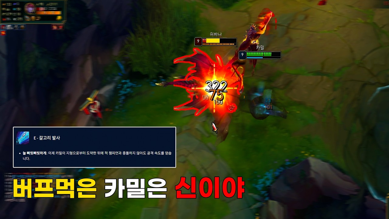 마티구간 양학하기좋은 카밀강의 (vs 마오카이,쉬바나)