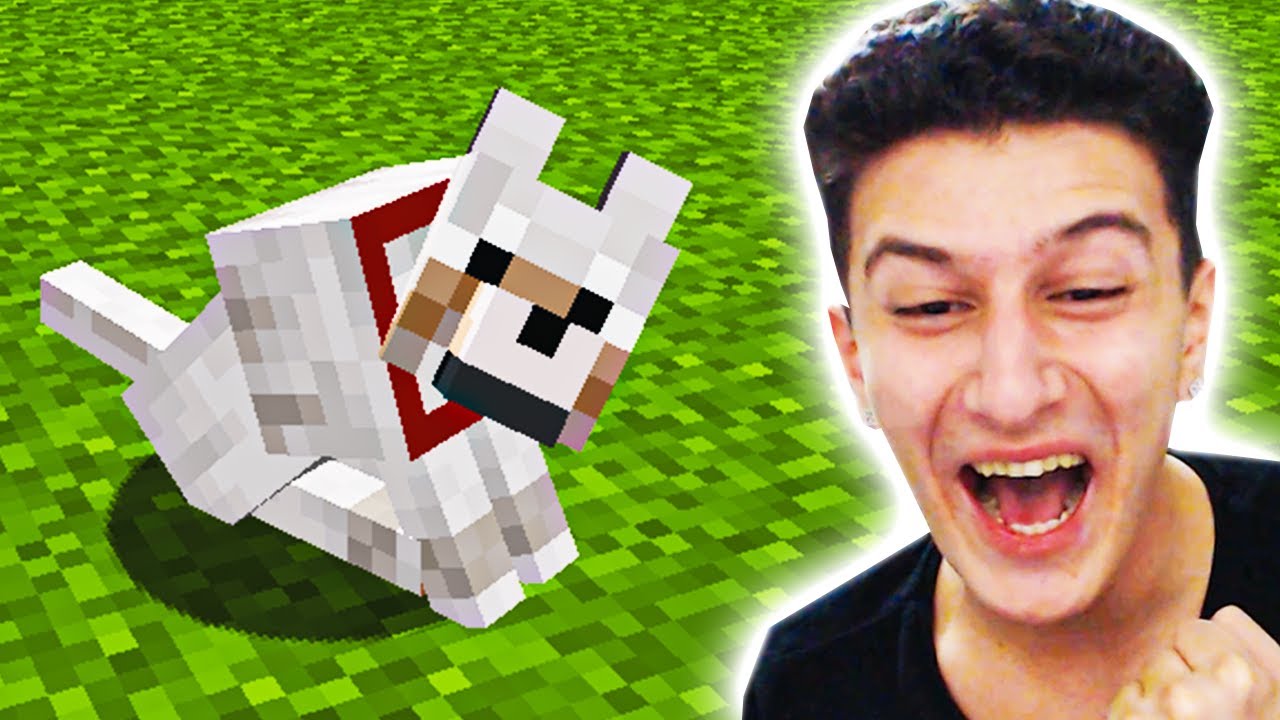 KÖPEK EVCİLLEŞTİRDİM ❤️ Minecraft 9