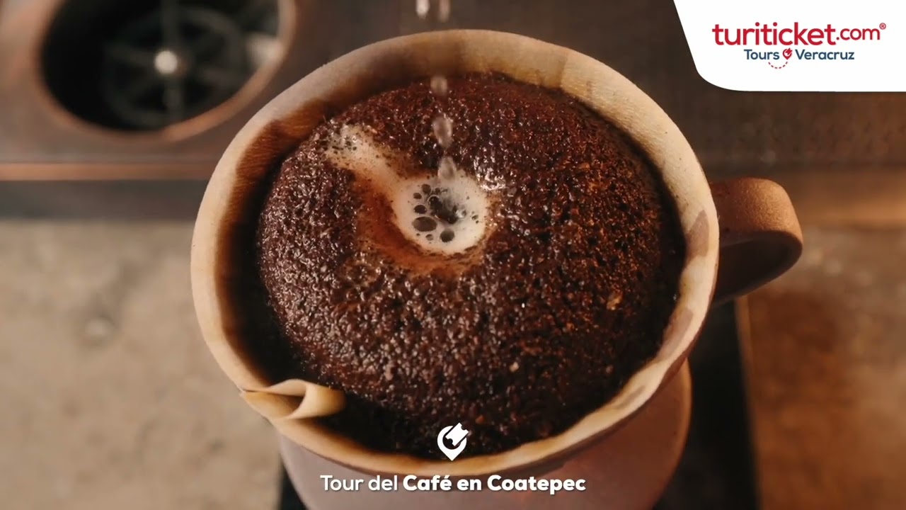 TOUR DEL CAF&Eacute; EN COATEPEC | &iquest;Qu&eacute; Hacer en Veracruz? 🟤 #DescubreVeracruz