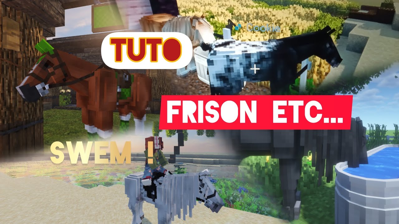TUTO COMMENT AVOIR DES FRISON ETC DANS SWEM !