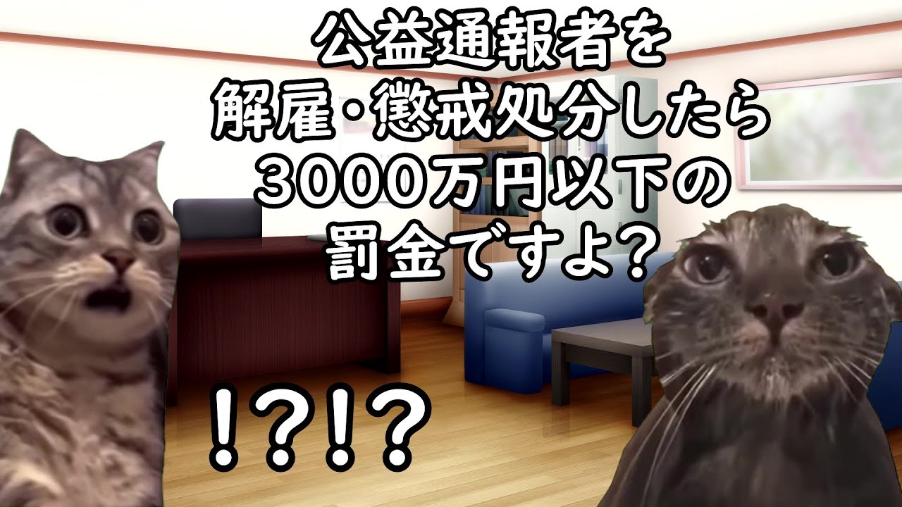 【2025年以降】変わる仕事に関係する法律【猫ミーム】