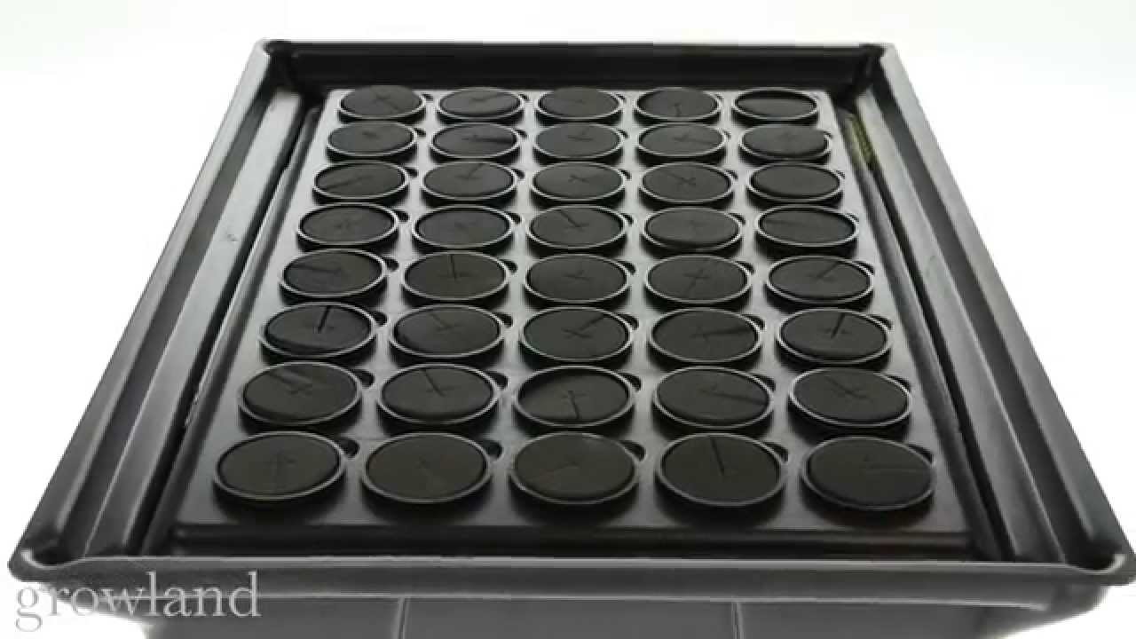 Nutriculture X-Stream Clone Master Propagator 40